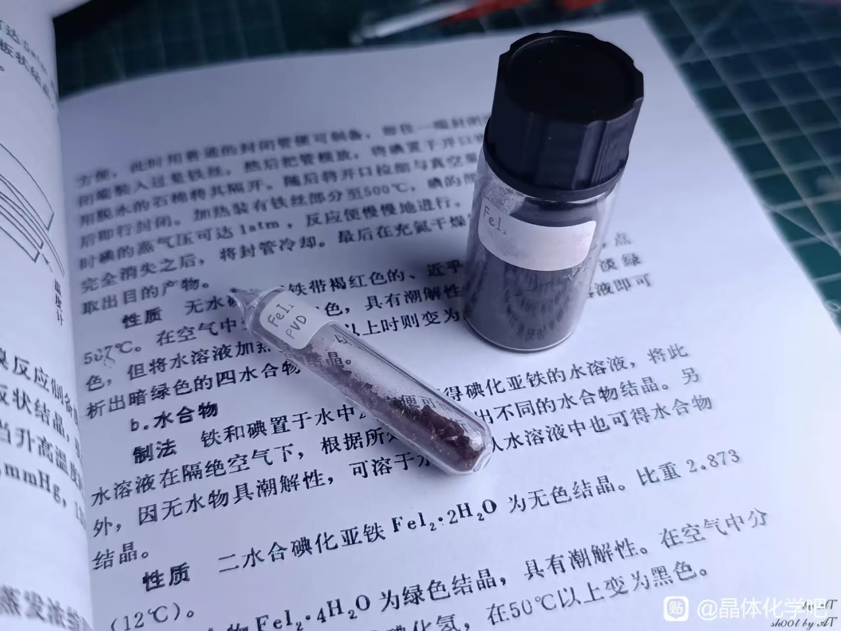 三分法构图示例